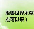 魔獸世界采草藥升級（WOW草藥等級 多少點可以采）