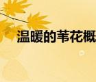 溫暖的葦花概括（溫暖的葦花閱讀答案）