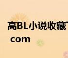 高BL小說收藏下載bL打包哦649400689 qq  com