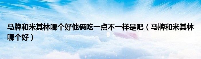 馬牌和米其林哪個好他倆吃一點不一樣是吧（馬牌和米其林哪個好）
