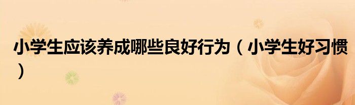 小學生應該養(yǎng)成哪些良好行為（小學生好習慣）