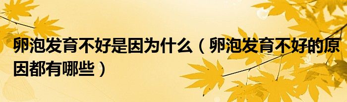 卵泡發(fā)育不好是因為什么（卵泡發(fā)育不好的原因都有哪些）