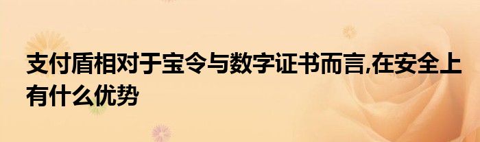 支付盾相對于寶令與數(shù)字證書而言,在安全上有什么優(yōu)勢