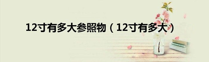 12寸有多大參照物（12寸有多大）