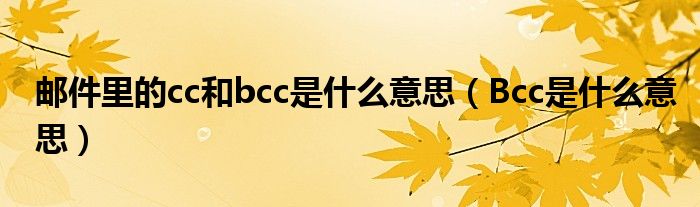 郵件里的cc和bcc是什么意思（Bcc是什么意思）