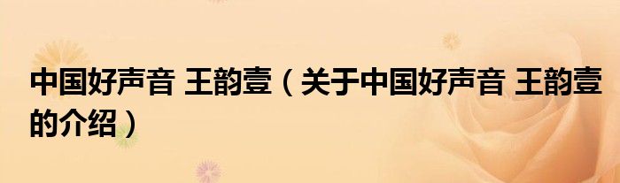 中國好聲音 王韻壹（關(guān)于中國好聲音 王韻壹的介紹）