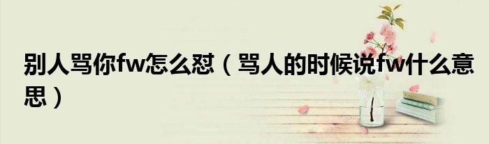 別人罵你fw怎么懟（罵人的時(shí)候說(shuō)fw什么意思）