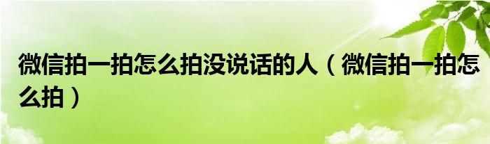 微信拍一拍怎么拍沒說話的人（微信拍一拍怎么拍）
