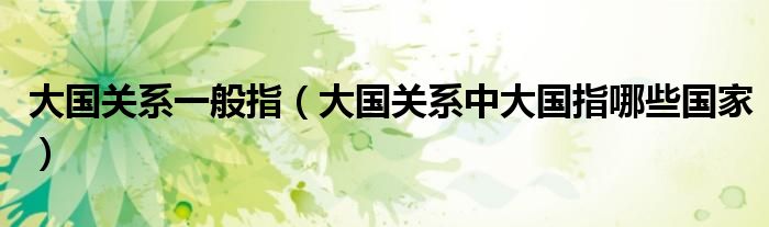 大國關系一般指（大國關系中大國指哪些國家）