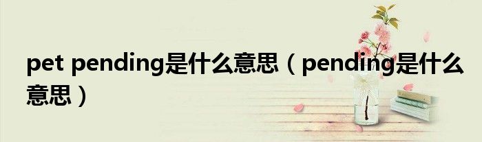 pet pending是什么意思（pending是什么意思）