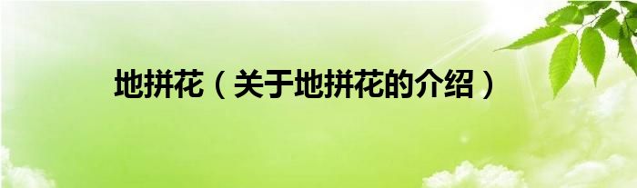 地拼花（關于地拼花的介紹）