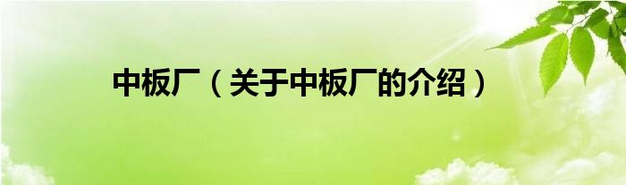 中板廠（關于中板廠的介紹）