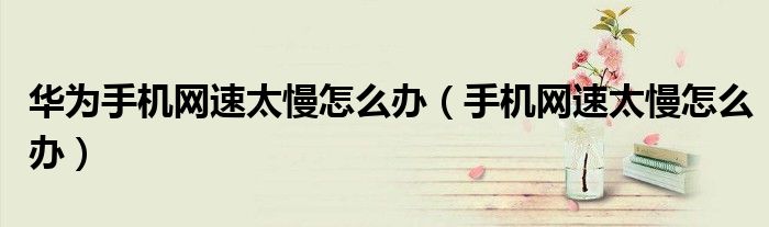 華為手機(jī)網(wǎng)速太慢怎么辦（手機(jī)網(wǎng)速太慢怎么辦）