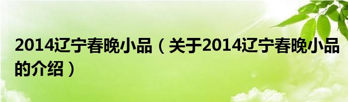 2014遼寧春晚小品（關(guān)于2014遼寧春晚小品的介紹）