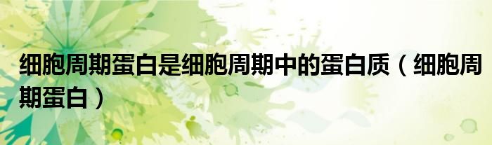 細胞周期蛋白是細胞周期中的蛋白質(zhì)（細胞周期蛋白）