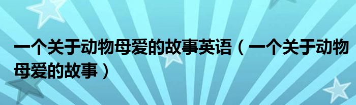 一個關于動物母愛的故事英語（一個關于動物母愛的故事）
