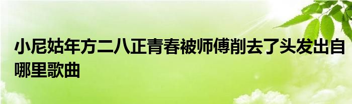 小尼姑年方二八正青春被師傅削去了頭發(fā)出自哪里歌曲
