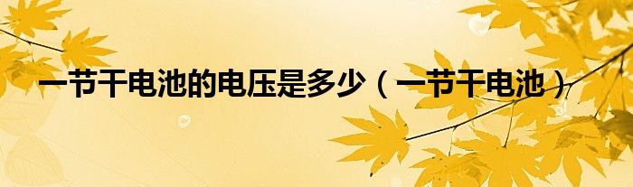 一節(jié)干電池的電壓是多少（一節(jié)干電池）