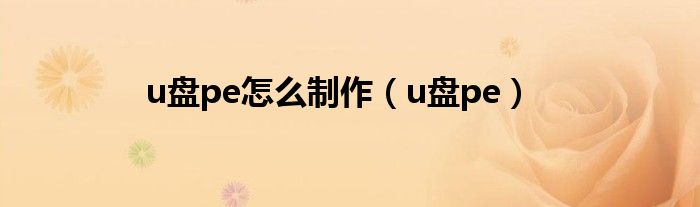 u盤pe怎么制作（u盤pe）