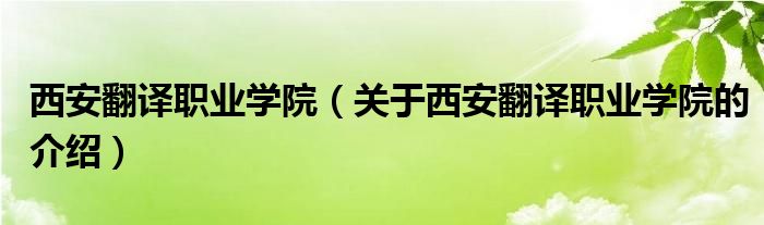 西安翻譯職業(yè)學(xué)院（關(guān)于西安翻譯職業(yè)學(xué)院的介紹）