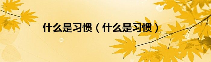 什么是習(xí)慣（什么是習(xí)慣）