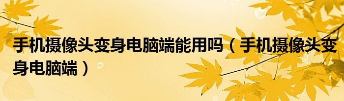 手機(jī)攝像頭變身電腦端能用嗎（手機(jī)攝像頭變身電腦端）
