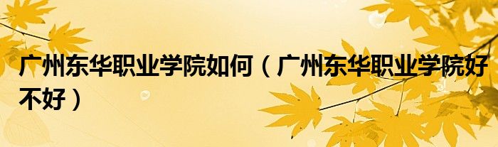 廣州東華職業(yè)學院如何（廣州東華職業(yè)學院好不好）