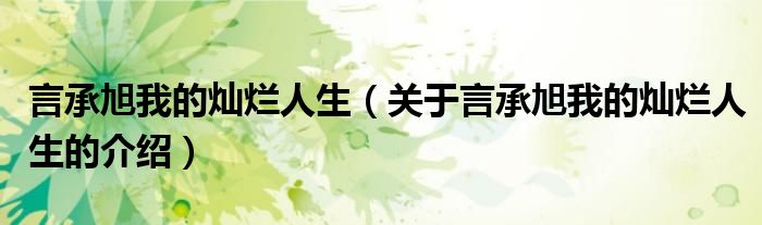 言承旭我的燦爛人生（關(guān)于言承旭我的燦爛人生的介紹）