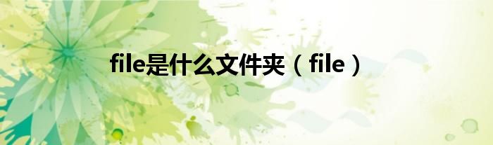 file是什么文件夾（file）