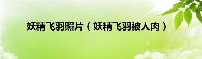 妖精飛羽照片（妖精飛羽被人肉）