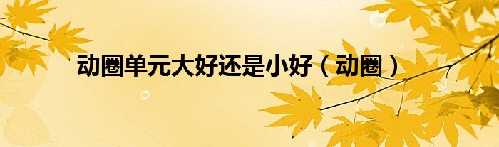 動圈單元大好還是小好（動圈）