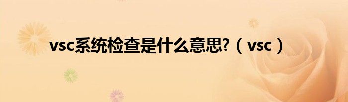 vsc系統(tǒng)檢查是什么意思?（vsc）