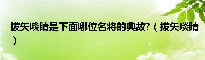 拔矢啖睛是下面哪位名將的典故?（拔矢啖睛）