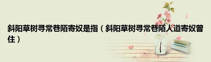 斜陽(yáng)草樹(shù)尋常巷陌寄奴是指（斜陽(yáng)草樹(shù)尋常巷陌人道寄奴曾住）