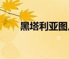 黑塔利亞圖片 壁紙（黑塔利亞圖片）