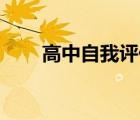 高中自我評價50字（高中自我評價）
