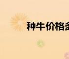 種牛價(jià)格多少錢一只（種牛價(jià)格）