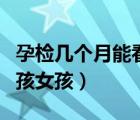 孕檢幾個(gè)月能看出男孩女孩（幾個(gè)月能看出男孩女孩）