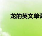 龍的英文單詞怎么寫(xiě)（龍的英文單詞）