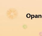 Opanda IExif2.3 中文版