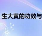 生大黃的功效與作用（熟大黃的功效與作用）