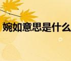 婉如意思是什么的意思是什么（婉如的意思）