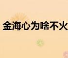 金海心為啥不火了（金海心為什么退出樂壇）
