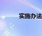 實(shí)施辦法格式范文（實(shí)施辦法）