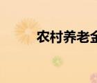 農(nóng)村養(yǎng)老金2022年最新消息 調(diào)整