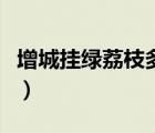 增城掛綠荔枝多少錢(qián)一斤（增城掛綠荔枝價(jià)格）