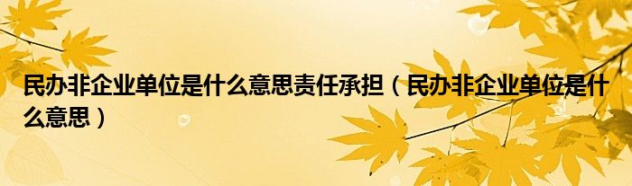 民辦非企業(yè)單位是什么意思責(zé)任承擔(dān)（民辦非企業(yè)單位是什么意思）