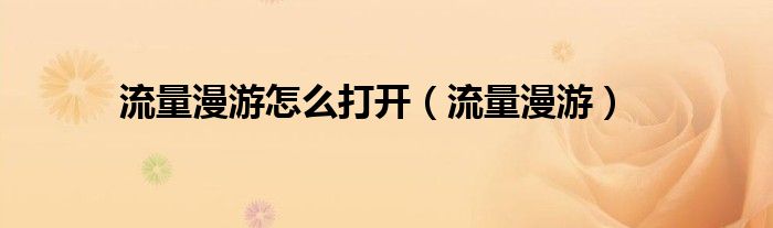 流量漫游怎么打開(kāi)（流量漫游）