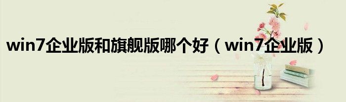 win7企業(yè)版和旗艦版哪個(gè)好（win7企業(yè)版）