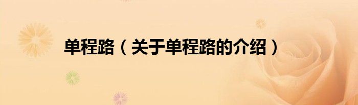 單程路（關(guān)于單程路的介紹）